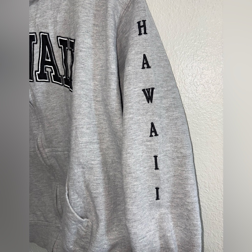 Gray Zip-Up Hoodie - Picture 3 of 8